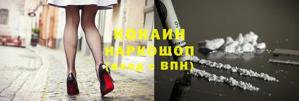 крисы Баксан
