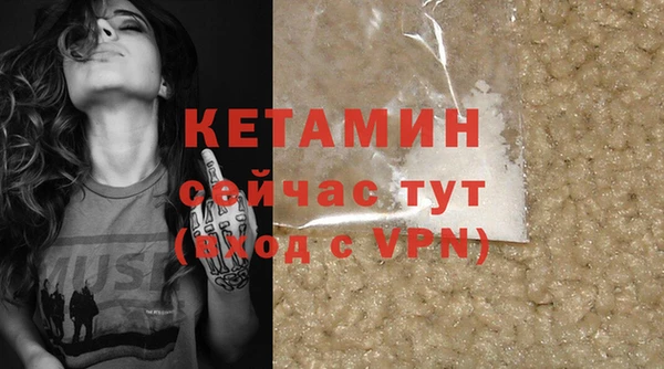 крисы Баксан