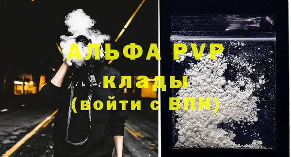 крисы Баксан