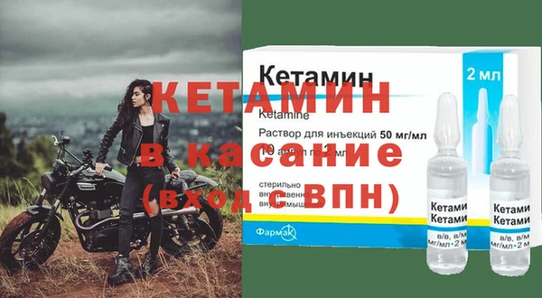 крисы Баксан