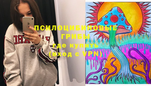 крисы Баксан