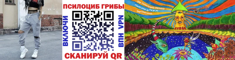 Галлюциногенные грибы Psilocybe Гаврилов-Ям